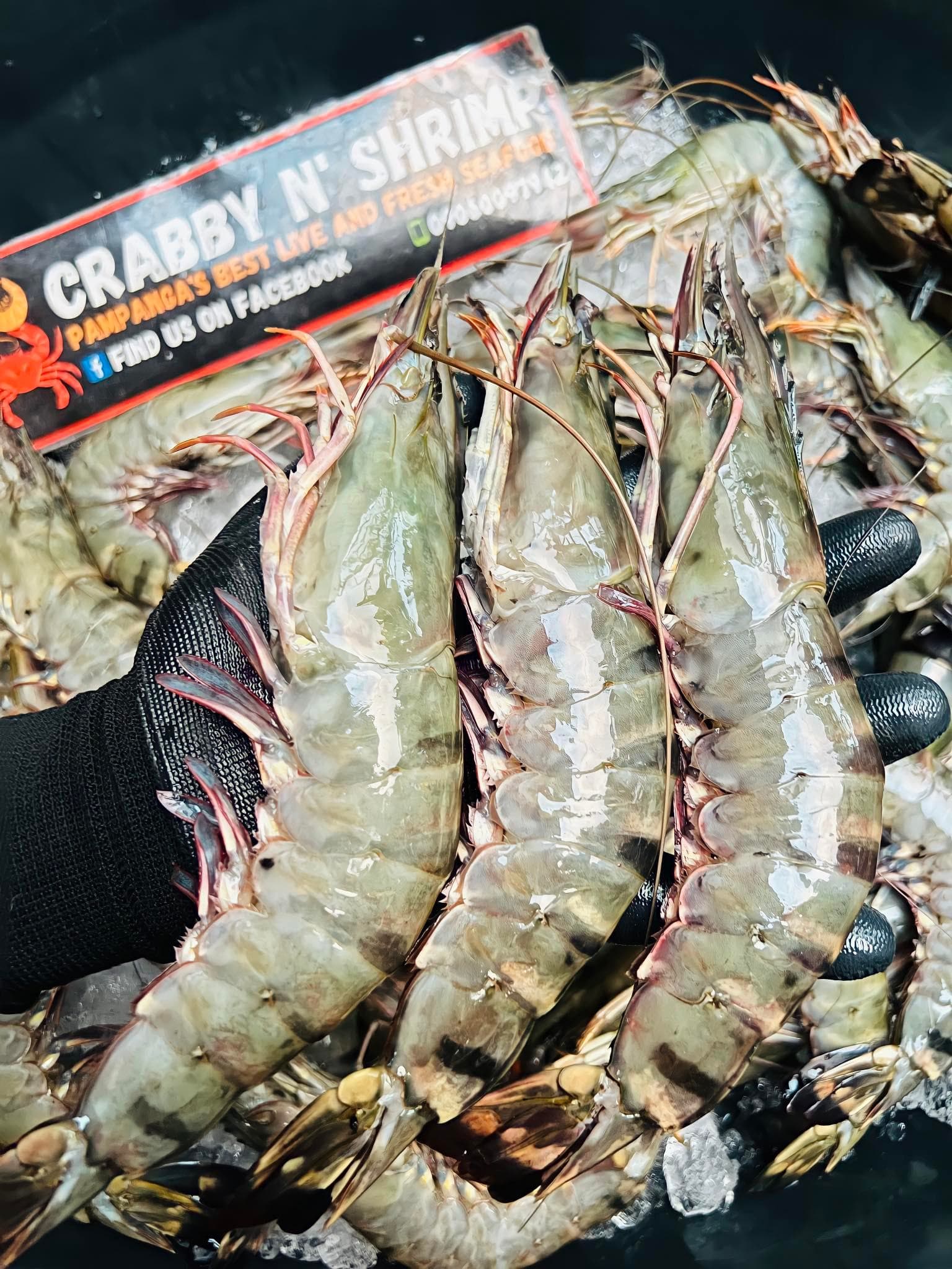 TIGER PRAWNS